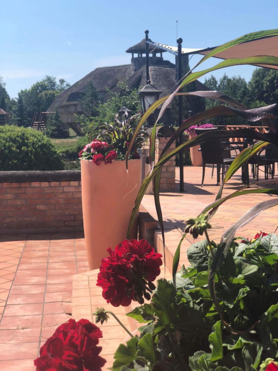 Villa Audruvis Joniškis Kültér fotó